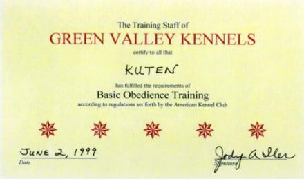 Obedience Diploma